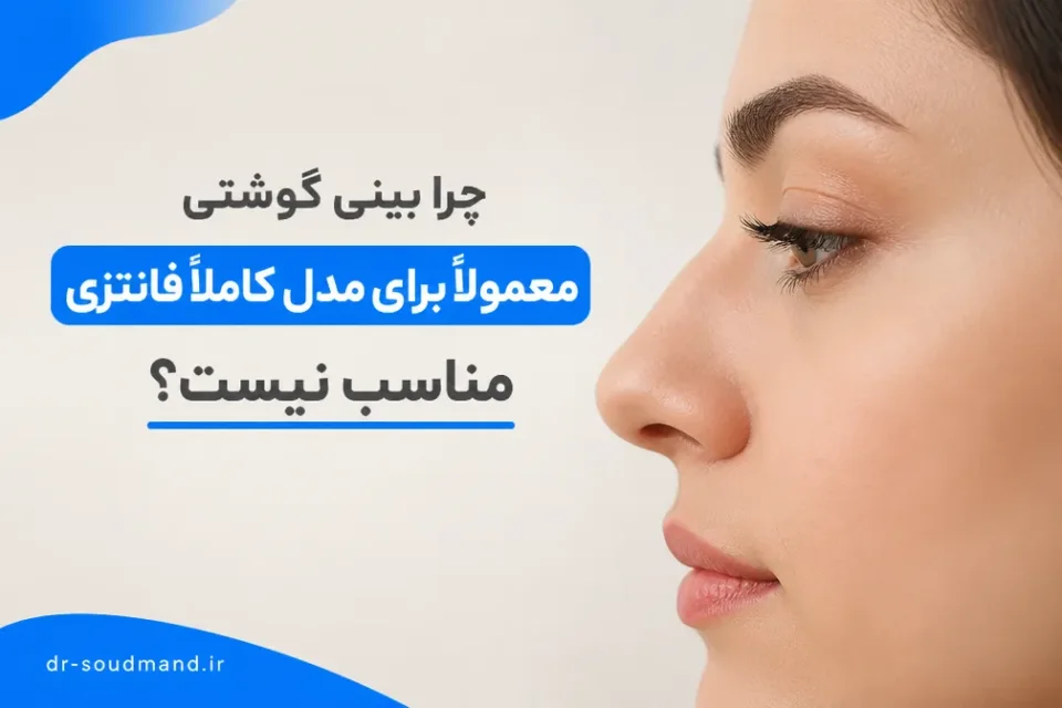 نمای توضیحی درباره چرا بینی گوشتی معمولاً برای مدل کاملاً فانتزی مناسب نیست